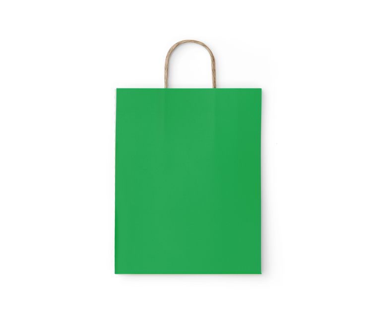 Пакет бумажный "GREEN"